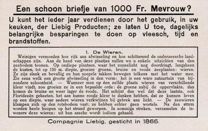 1936 Liebig Ondezeesche Landschappen (Underwater Life)(Dutch Text)(F1340, S1345) #1 De Wieren Back