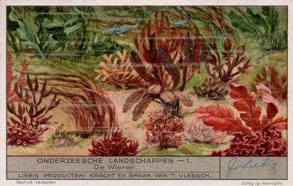 1936 Liebig Ondezeesche Landschappen (Underwater Life)(Dutch Text)(F1340, S1345) #1 De Wieren Front