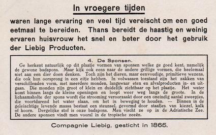 1936 Liebig Ondezeesche Landschappen (Underwater Life)(Dutch Text)(F1340, S1345) #4 De Sponsen Back