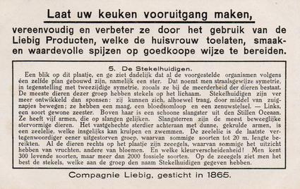 1936 Liebig Ondezeesche Landschappen (Underwater Life)(Dutch Text)(F1340, S1345) #5 De stekelhuidigen Back