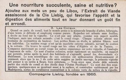 1936 Liebig Paysages Sous-Marins (Underwater Life)(French Text)(F1340, S1345) #3 Les Coraux Back