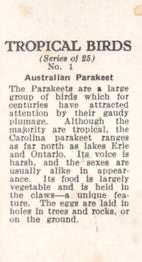 1960 Tropical Birds #1 Australian Parakeet Back