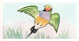 1960 Tropical Birds #3 Painted Grass Finch Front