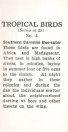 1960 Tropical Birds #5 Southern Carmine Bee-eater Back