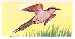 1960 Tropical Birds #5 Southern Carmine Bee-eater Front