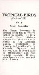 1960 Tropical Birds #6 Green Bee-eater Back