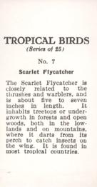 1960 Tropical Birds #7 Scarlet Flycatcher Back