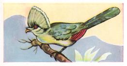 1960 Tropical Birds #10 Lourie Front