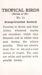 1960 Tropical Birds #11 Orange-breasted Sunbird Back