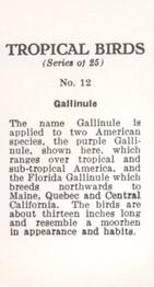 1960 Tropical Birds #12 Gallinule Back