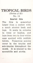 1960 Tropical Birds #13 Scarlet Ibis Back
