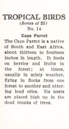 1960 Tropical Birds #14 Cape Parrot Back