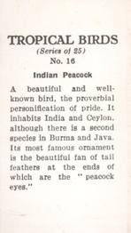1960 Tropical Birds #16 Indian Peacock Back