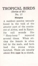 1960 Tropical Birds #17 Hoopoe Back