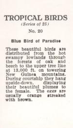 1960 Tropical Birds #20 Blue Bird of Paradise Back