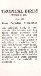 1960 Tropical Birds #23 Cape Paradise Flycatcher Back