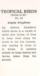 1960 Tropical Birds #24 Angola Kingfisher Back