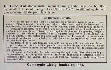 1938 Liebig Les Crustaces (Crustaceans)(French Text)(F1392, S1373) #4 Le Bernard l'Ermite Back
