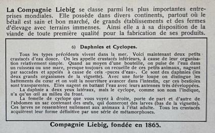 1938 Liebig Les Crustaces (Crustaceans)(French Text)(F1392, S1373) #6 Daphnies et Cyclopes Back