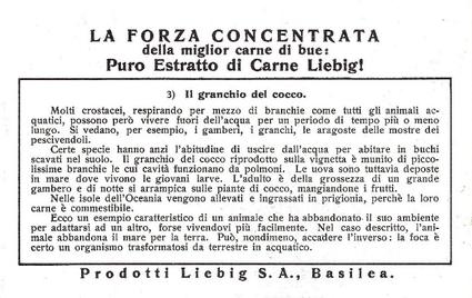 1938 Liebig I Crostacei (Crustaceans)(Italian Text)(F1392, S1373) #3 Il granchio del cocco Back