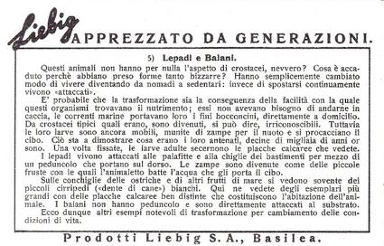 1938 Liebig I Crostacei (Crustaceans)(Italian Text)(F1392, S1373) #5 Lepadi e Balani Back