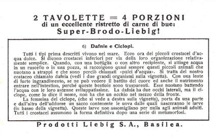 1938 Liebig I Crostacei (Crustaceans)(Italian Text)(F1392, S1373) #6 Dafnie e Clelopi Back