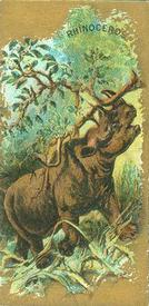1890 Kinney Bros. Animals (N216) #NNO Rhinoceros Front