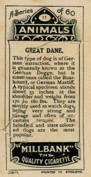 1916 Imperial Tobacco Co of Canada (ITC) A Series of Animals #11 Great Dane Back