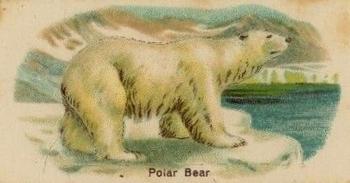 1916 Imperial Tobacco Co of Canada (ITC) A Series of Animals #14 Polar Bear Front