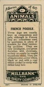 1916 Imperial Tobacco Co of Canada (ITC) A Series of Animals #41 French Poodle Back