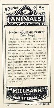 1916 Imperial Tobacco Co of Canada (ITC) A Series of Animals #51 Dingo - Mountain Variety Back