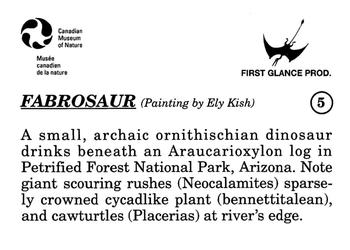 1993 Canadian Museum of Nature Series 1 Prehistoric Animals #5 Fabrosaurus Back