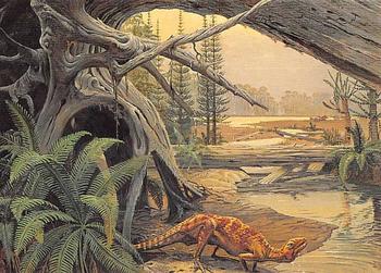 1993 Canadian Museum of Nature Series 1 Prehistoric Animals #5 Fabrosaurus Front