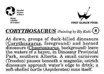 1993 Canadian Museum of Nature Series 1 Prehistoric Animals #8 Corythosaurus Back