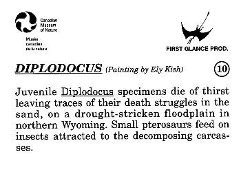 1993 Canadian Museum of Nature Series 1 Prehistoric Animals #10 Diplodocus Back