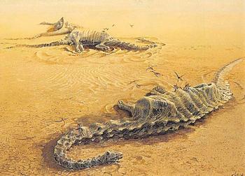1993 Canadian Museum of Nature Series 1 Prehistoric Animals #10 Diplodocus Front