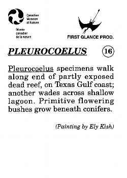 1993 Canadian Museum of Nature Series 1 Prehistoric Animals #16 Pleurocoelus Back