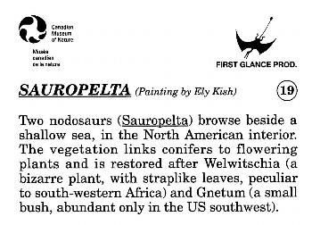 1993 Canadian Museum of Nature Series 1 Prehistoric Animals #19 Sauropelta Back