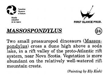 1993 Canadian Museum of Nature Series 1 Prehistoric Animals #24 Massospondylus Back