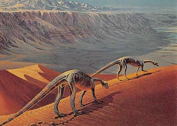 1993 Canadian Museum of Nature Series 1 Prehistoric Animals #24 Massospondylus Front