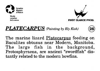 1993 Canadian Museum of Nature Series 1 Prehistoric Animals #26 Platecarpus Back
