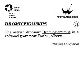 1993 Canadian Museum of Nature Series 1 Prehistoric Animals #31 Dromiceiomimus Back