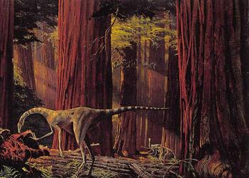 1993 Canadian Museum of Nature Series 1 Prehistoric Animals #31 Dromiceiomimus Front