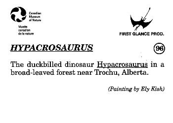 1993 Canadian Museum of Nature Series 1 Prehistoric Animals #96 Hypacrosaurus Back