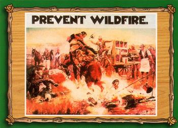 1996 Dart Smokey Bear #3 Prevent Wildfire Front