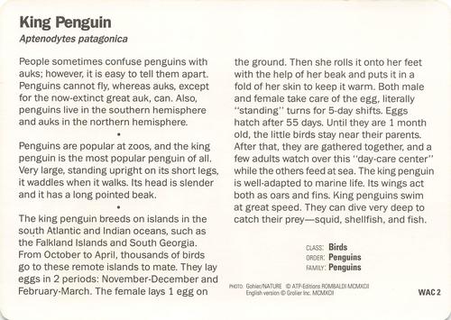 1991-95 Grolier Wildlife Adventure Cards - Promos #WAC2 King Penguin Back