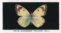 1935 Abdulla British Butterflies #9 Pale Clouded Yellow Front