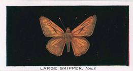 1935 Abdulla British Butterflies #10 Large Skipper Front