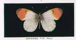 1935 Abdulla British Butterflies #11 Orange Tip Front