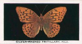 1935 Abdulla British Butterflies #14 Silver-Washed Fritillary Front